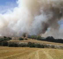 Right flank during the initial runs in the cereal fields.