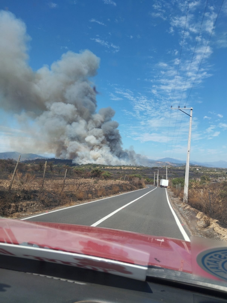 Wildfire Data Portal - WDP - Wildfire Data Portal - Data Backup In Wildfire Areas
